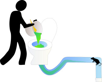 Schematische Darstellung des Ausschüttens von essenresten in die Toilette und einer Ratte im Rohr